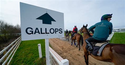cheltenham race card 2023|cheltenham festival 2023 race cards.